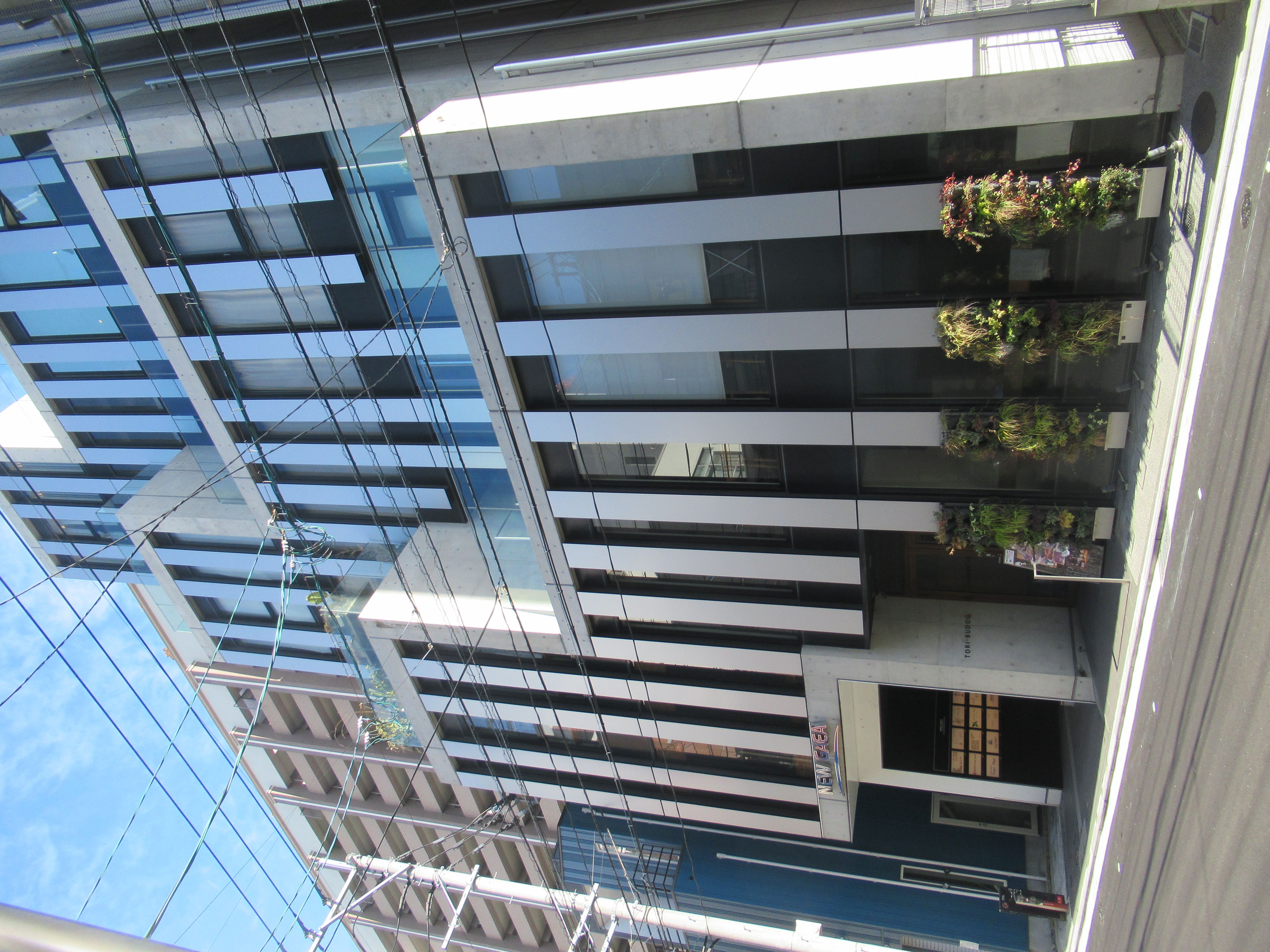 ニューガイア渡辺通BLDG