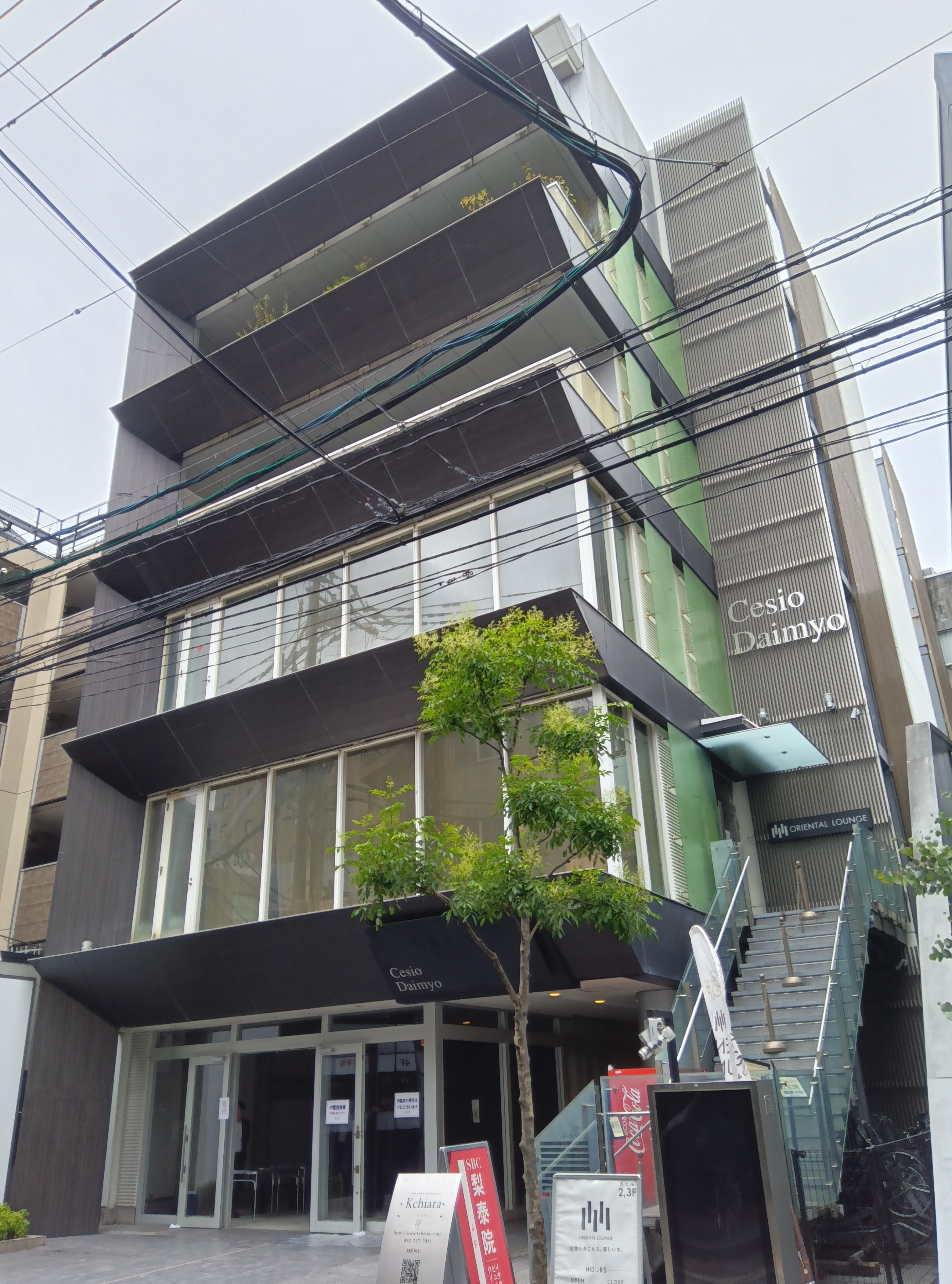 セシオ大名(CesioDaimyo)